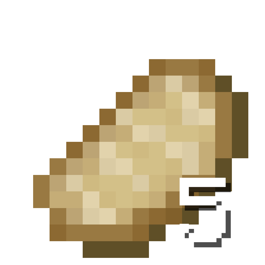 5 Cooked Porkchop